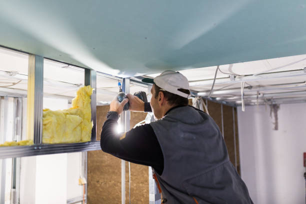 Best Insulation Inspection Services  in El Lago, TX