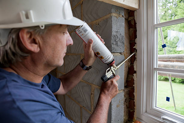 Best Professional Insulation Contractor  in El Lago, TX