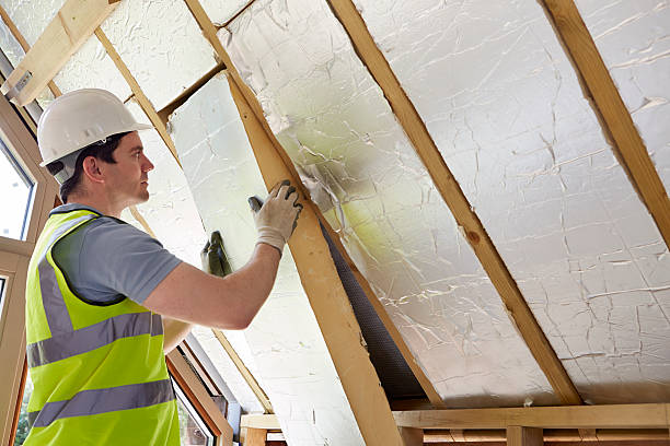 Best Home Insulation Services  in El Lago, TX